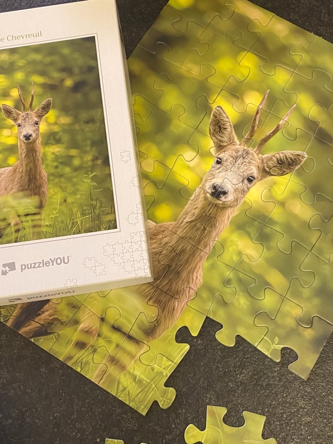 Puzzle " Ecrin de Verdure"