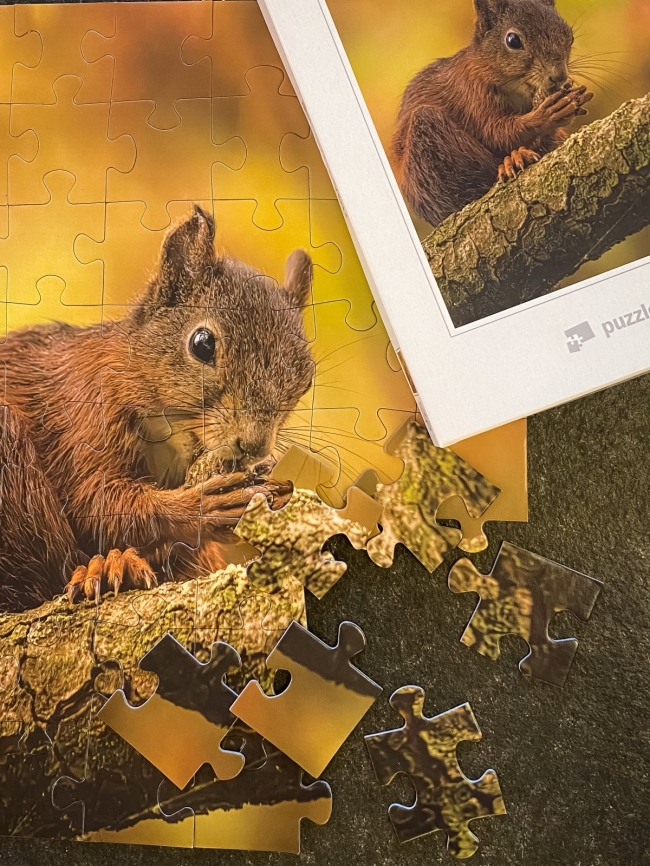 Puzzle "Lutin Automnal" 